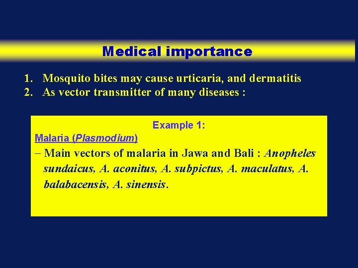 Medical importance 1. Mosquito bites may cause urticaria, and dermatitis 2. As vector transmitter