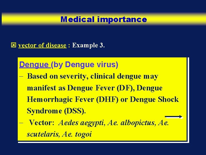 Medical importance ý vector of disease : Example 3. Dengue (by Dengue virus) -