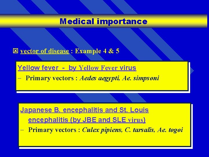 Medical importance ý vector of disease : Example 4 & 5 Yellow fever -