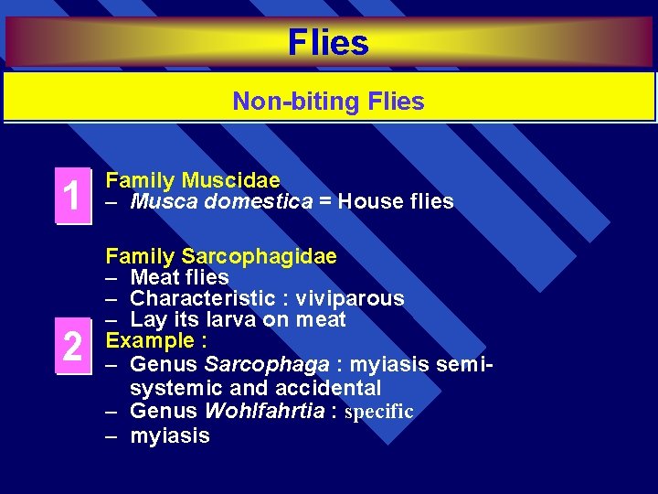 Flies Non-biting Flies 1 Family Muscidae – Musca domestica = House flies 2 Family