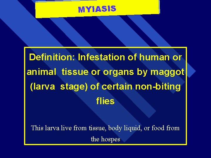 MYIASIS Definition: Infestation of human or animal tissue or organs by maggot (larva stage)