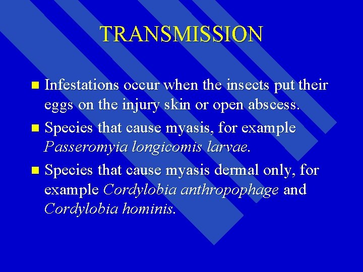 TRANSMISSION Infestations occur when the insects put their eggs on the injury skin or