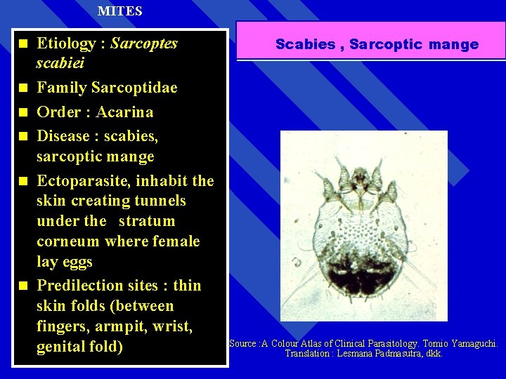 MITES n n n Etiology : Sarcoptes scabiei Family Sarcoptidae Order : Acarina Disease