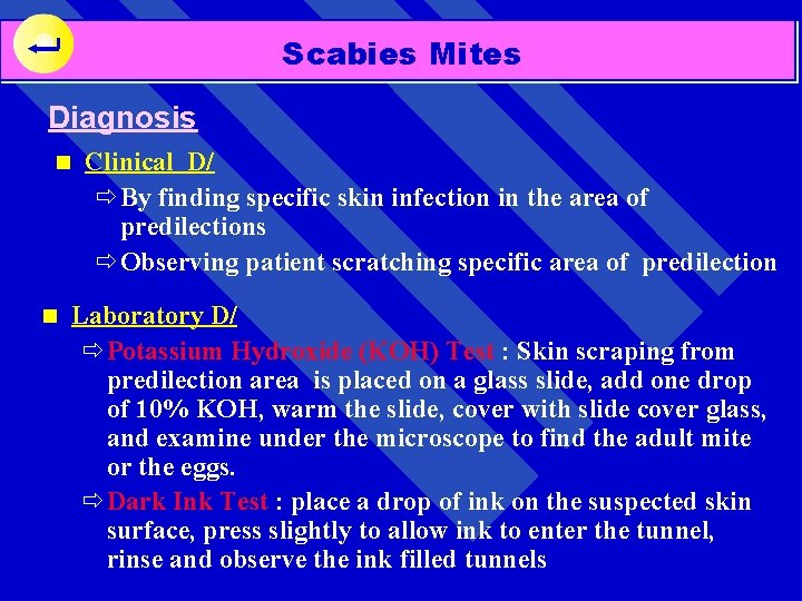 Scabies Mites Diagnosis n n Clinical D/ ðBy finding specific skin infection in the