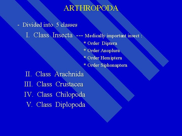 ARTHROPODA - Divided into 5 classes I. Class Insecta --- Medically important insect :