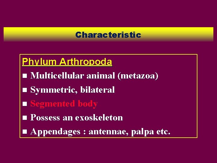 Characteristic Phylum Arthropoda n Multicellular animal (metazoa) n Symmetric, bilateral n Segmented body n