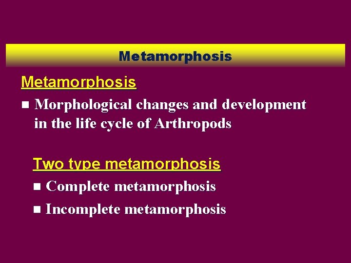 Metamorphosis n Morphological changes and development in the life cycle of Arthropods Two type