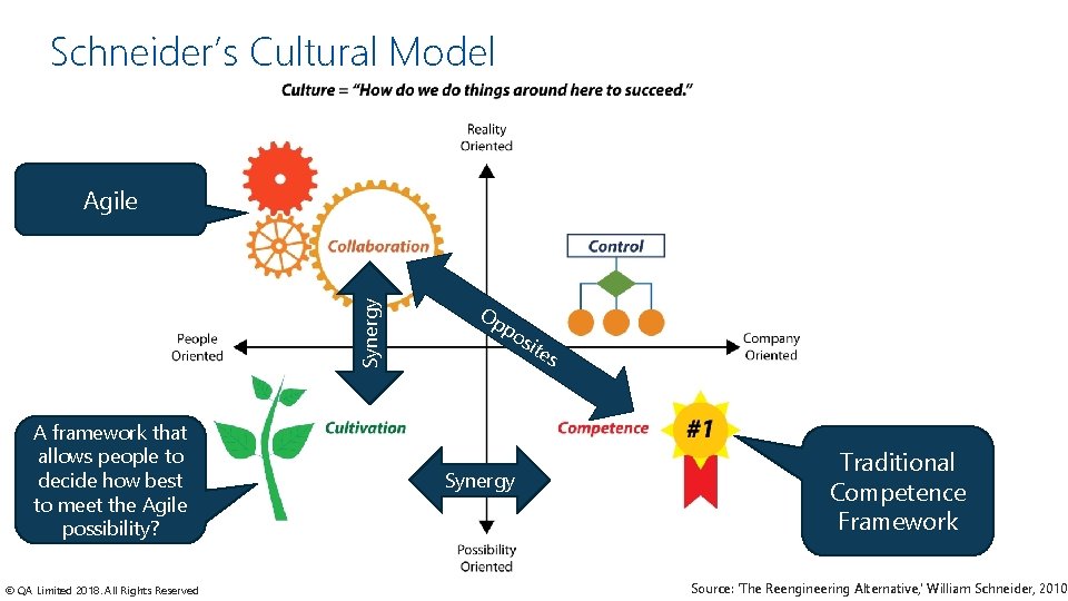 Schneider’s Cultural Model Synergy Agile A framework that allows people to decide how best