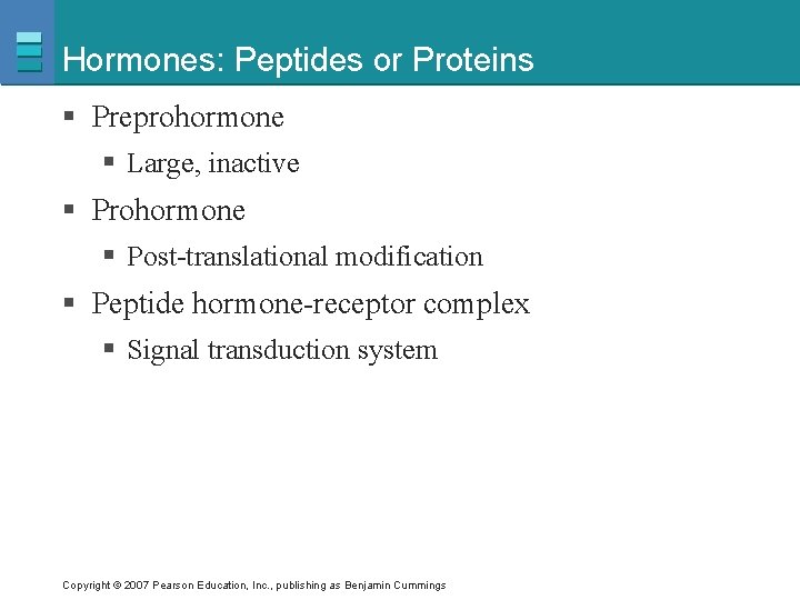 Hormones: Peptides or Proteins § Preprohormone § Large, inactive § Prohormone § Post-translational modification