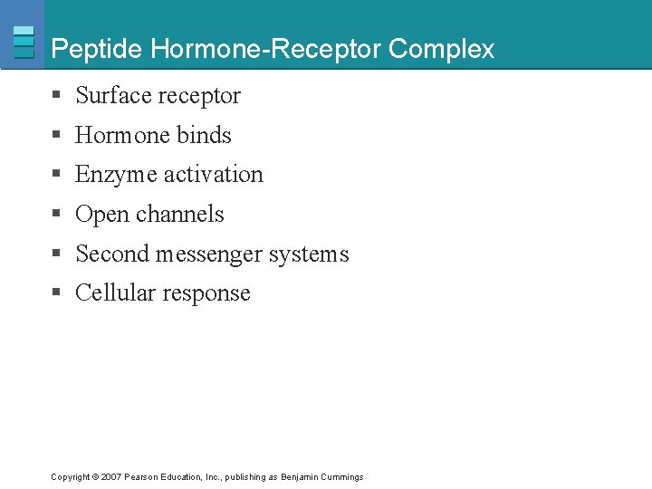 Peptide Hormone-Receptor Complex § Surface receptor § Hormone binds § Enzyme activation § Open