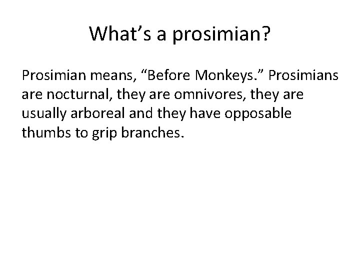 What’s a prosimian? Prosimian means, “Before Monkeys. ” Prosimians are nocturnal, they are omnivores,