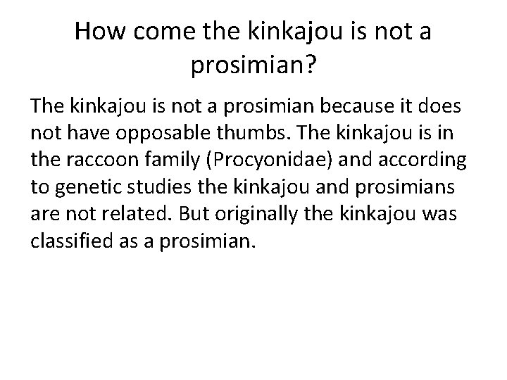 How come the kinkajou is not a prosimian? The kinkajou is not a prosimian