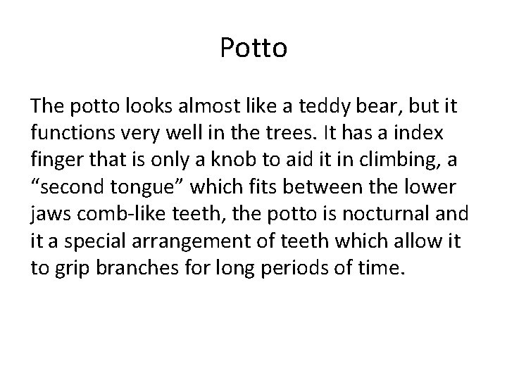 Potto The potto looks almost like a teddy bear, but it functions very well