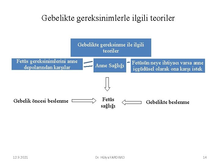 Gebelikte gereksinimlerle ilgili teoriler Gebelikte gereksinme ilgili teoriler Fetüs gereksinimlerini anne depolarından karşılar Gebelik