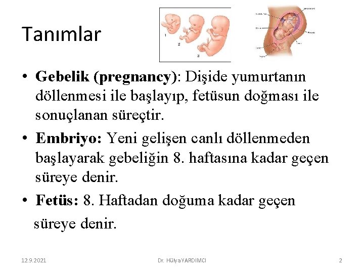 Tanımlar • Gebelik (pregnancy): Dişide yumurtanın döllenmesi ile başlayıp, fetüsun doğması ile sonuçlanan süreçtir.
