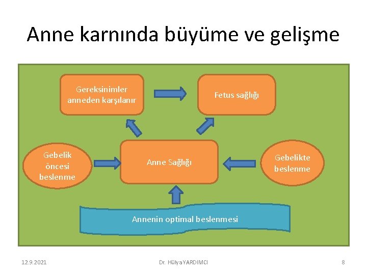 Anne karnında büyüme ve gelişme Gereksinimler anneden karşılanır Gebelik öncesi beslenme Fetus sağlığı Anne