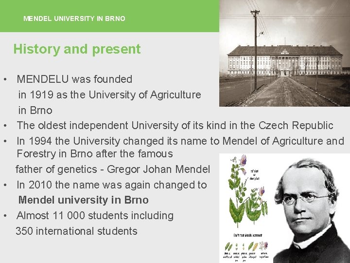 MENDEL UNIVERSITY IN BRNO page 2 History and present • MENDELU was founded in
