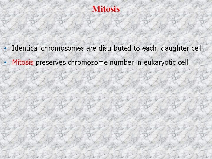 Mitosis • Identical chromosomes are distributed to each daughter cell • Mitosis preserves chromosome