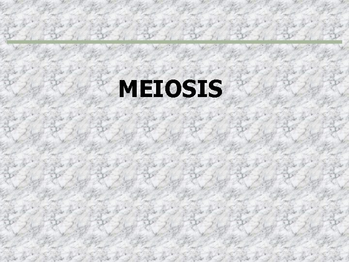 MEIOSIS 