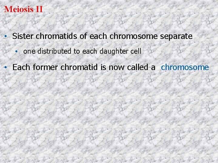 Meiosis II • Sister chromatids of each chromosome separate • one distributed to each