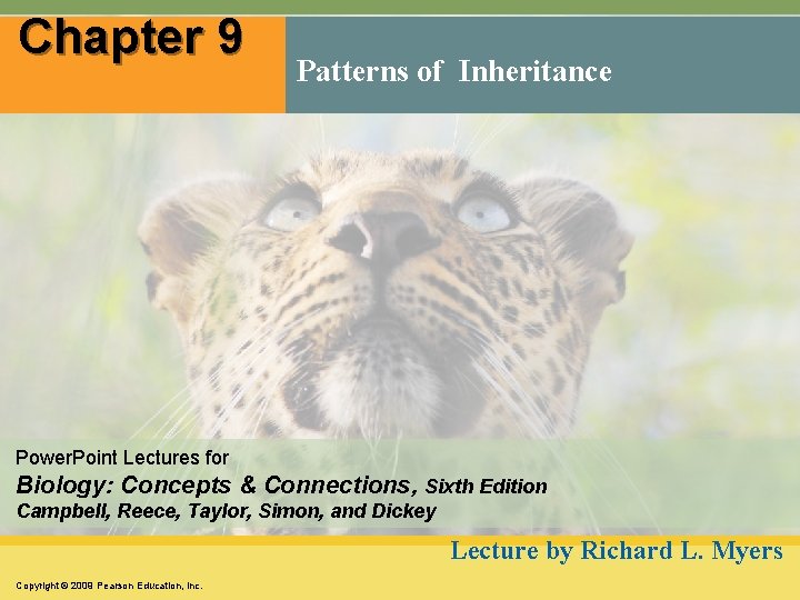Chapter 9 Patterns of Inheritance Power. Point Lectures for Biology: Concepts & Connections, Sixth