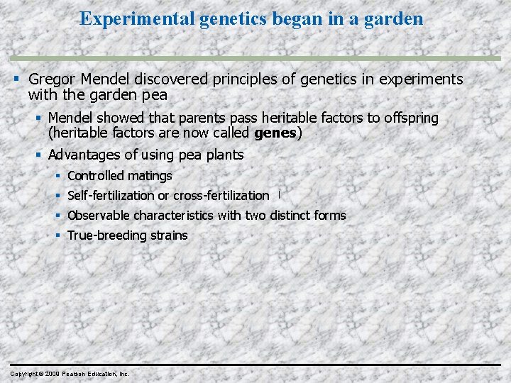 Experimental genetics began in a garden Gregor Mendel discovered principles of genetics in experiments