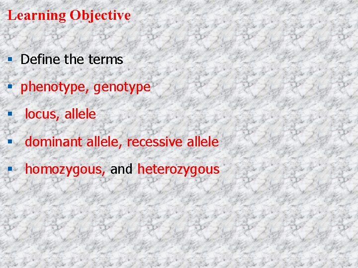 Learning Objective Define the terms phenotype, genotype locus, allele dominant allele, recessive allele homozygous,