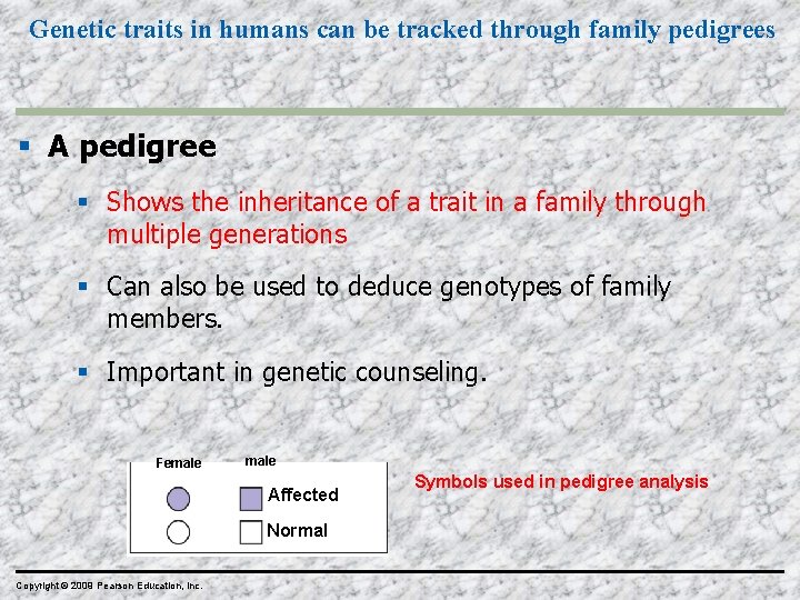 Genetic traits in humans can be tracked through family pedigrees A pedigree Shows the