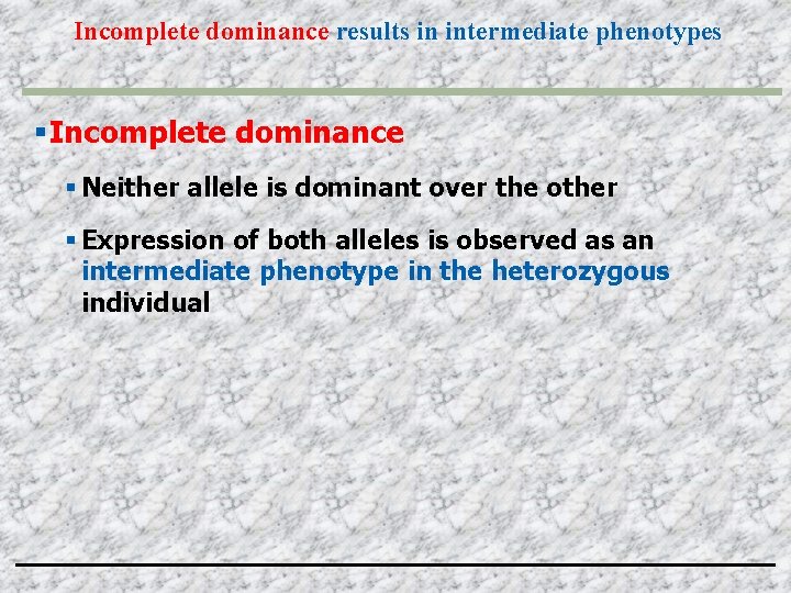 Incomplete dominance results in intermediate phenotypes Incomplete dominance Neither allele is dominant over the