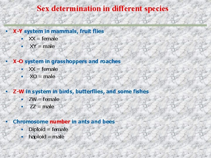 Sex determination in different species X-Y system in mammals, fruit flies XX = female