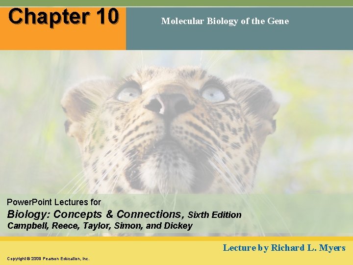 Chapter 10 Molecular Biology of the Gene Power. Point Lectures for Biology: Concepts &