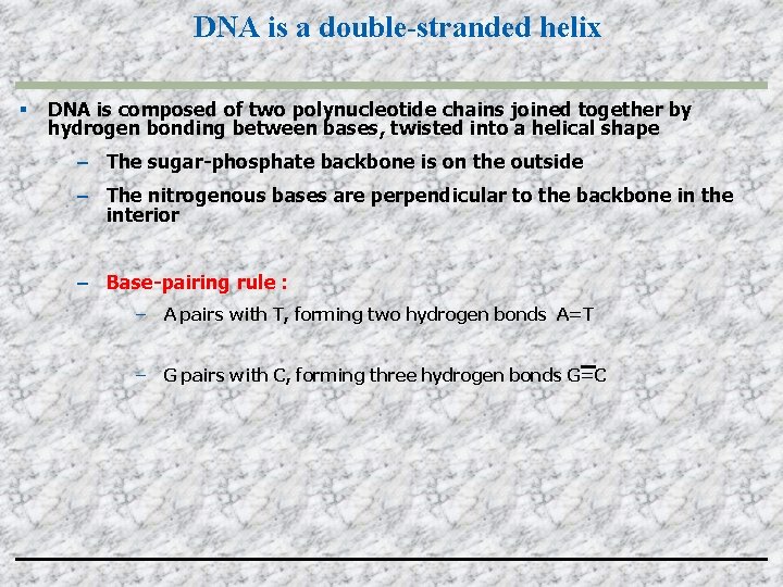 DNA is a double-stranded helix DNA is composed of two polynucleotide chains joined together
