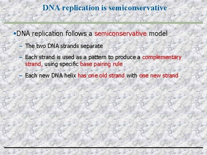 DNA replication is semiconservative DNA replication follows a semiconservative model – The two DNA