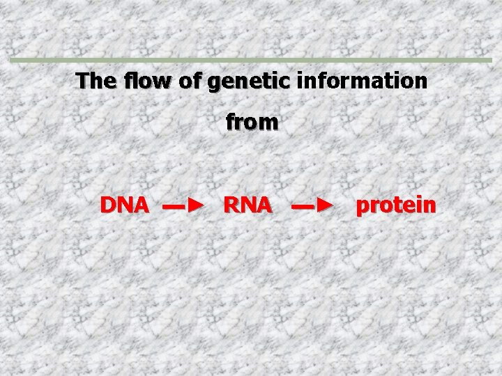 The flow of genetic information from DNA ▬► RNA ▬► protein 