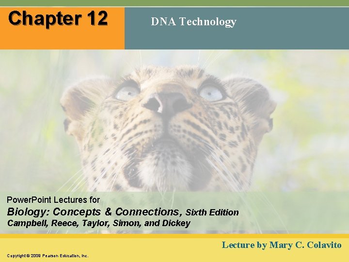 Chapter 12 DNA Technology Power. Point Lectures for Biology: Concepts & Connections, Sixth Edition