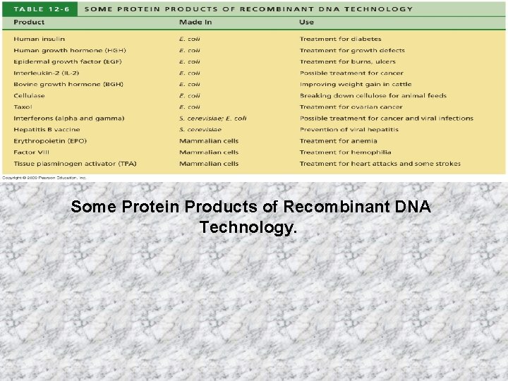 Some Protein Products of Recombinant DNA Technology. 