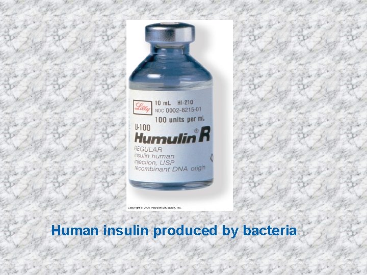 Human insulin produced by bacteria 