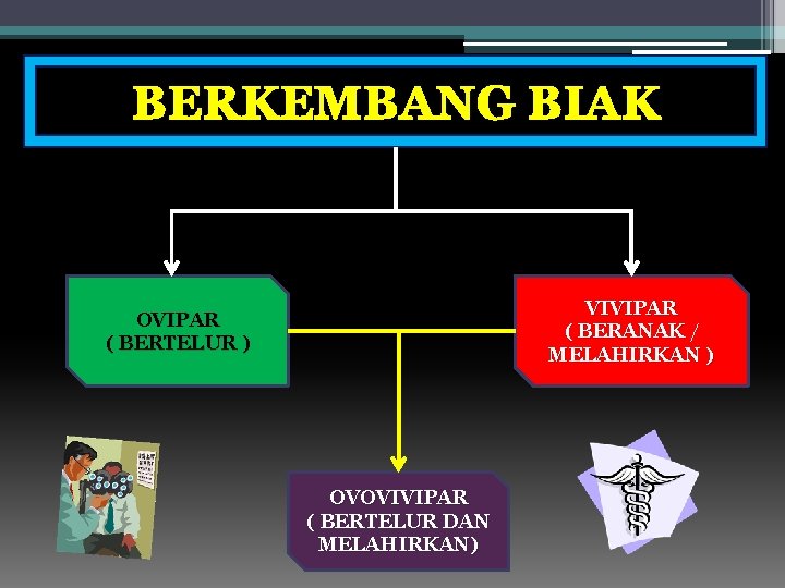 BERKEMBANG BIAK VIVIPAR ( BERANAK / MELAHIRKAN ) OVIPAR ( BERTELUR ) OVOVIVIPAR (
