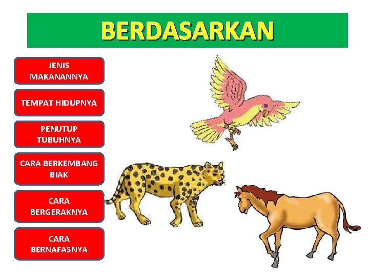 BERDASARKAN JENIS MAKANANNYA TEMPAT HIDUPNYA PENUTUP TUBUHNYA CARA BERKEMBANG BIAK CARA BERGERAKNYA CARA BERNAFASNYA