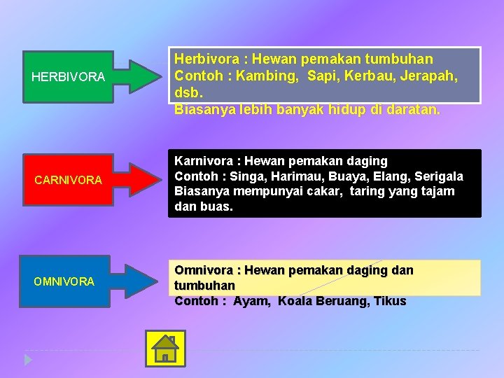 HERBIVORA Herbivora : Hewan pemakan tumbuhan Contoh : Kambing, Sapi, Kerbau, Jerapah, dsb. Biasanya