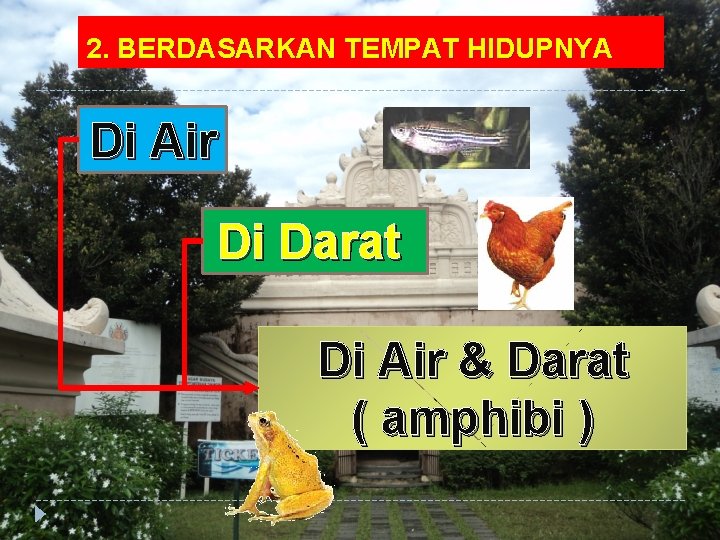 2. BERDASARKAN TEMPAT HIDUPNYA Di Air Di Darat Di Air & Darat ( amphibi