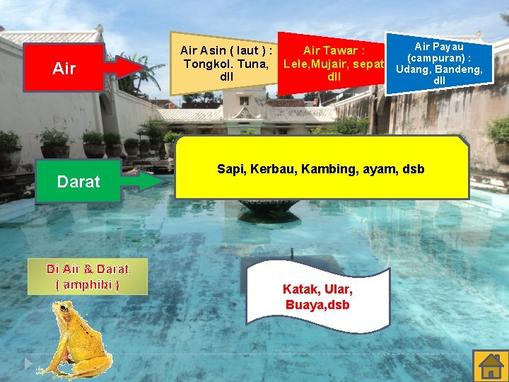 Air Darat Di Air & Darat ( amphibi ) Air Payau Air Asin (