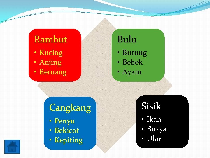 Rambut Bulu • Kucing • Anjing • Beruang • Burung • Bebek • Ayam