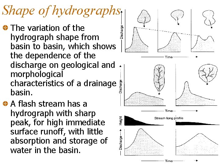 Shape of hydrographs The variation of the hydrograph shape from basin to basin, which Shape of hydrographs The variation of the hydrograph shape from basin to basin, which