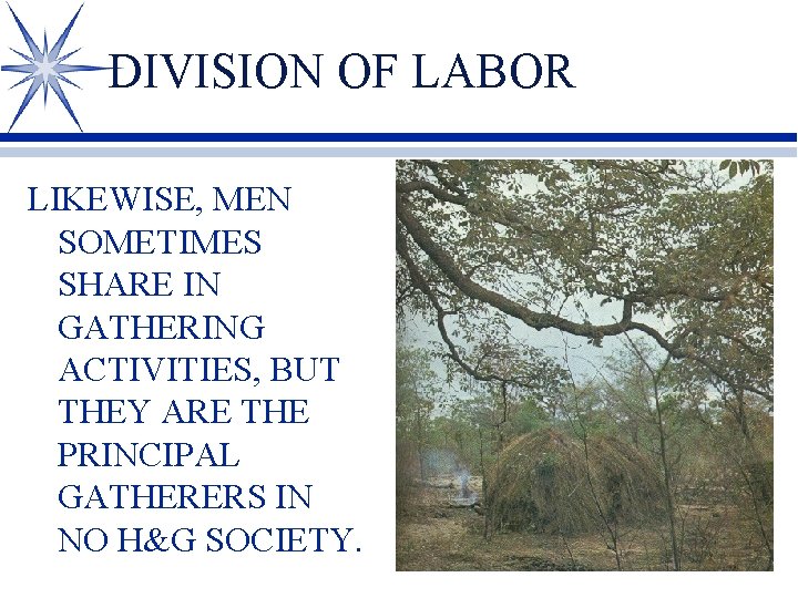DIVISION OF LABOR LIKEWISE, MEN SOMETIMES SHARE IN GATHERING ACTIVITIES, BUT THEY ARE THE