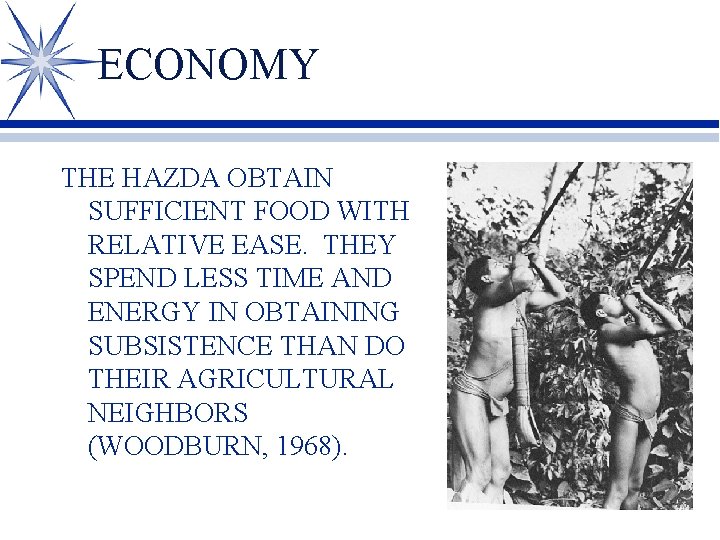 ECONOMY THE HAZDA OBTAIN SUFFICIENT FOOD WITH RELATIVE EASE. THEY SPEND LESS TIME AND
