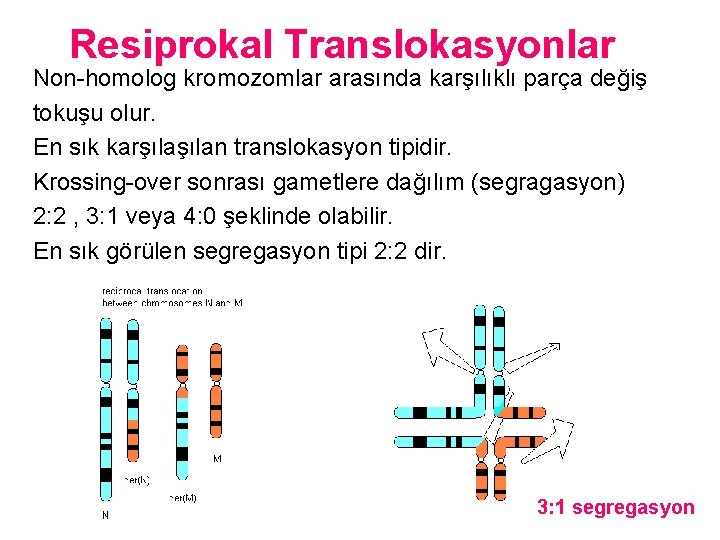 Resiprokal Translokasyonlar Non-homolog kromozomlar arasında karşılıklı parça değiş tokuşu olur. En sık karşılan translokasyon