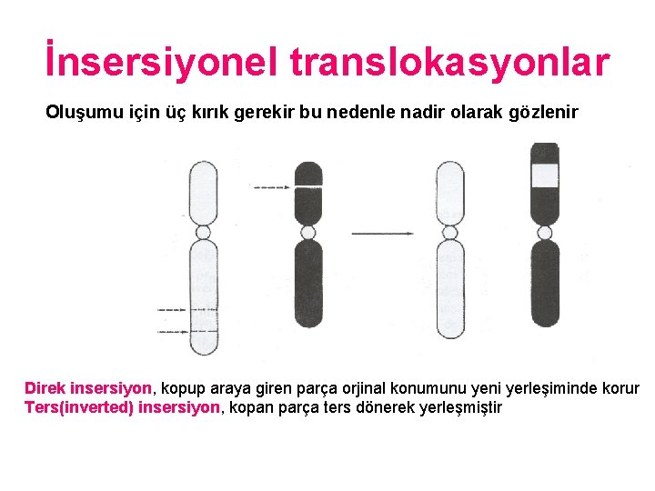 İnsersiyonel translokasyonlar Oluşumu için üç kırık gerekir bu nedenle nadir olarak gözlenir Direk insersiyon,