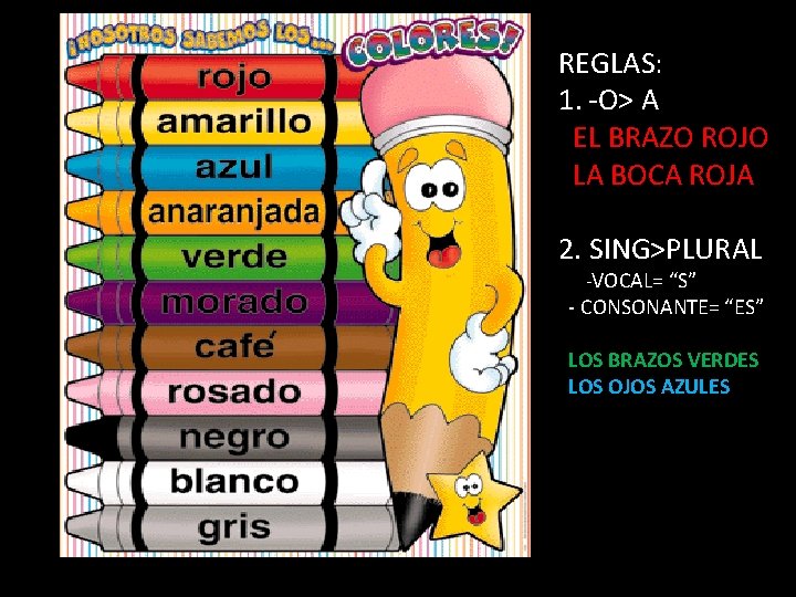 REGLAS: 1. -O> A EL BRAZO ROJO LA BOCA ROJA 2. SING>PLURAL -VOCAL= “S”