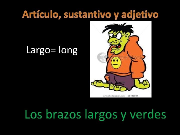Artículo, sustantivo y adjetivo Largo= long Los brazos largos y verdes 